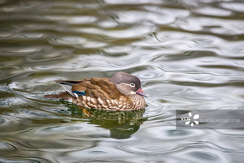 全罗北道，南原市图片素材