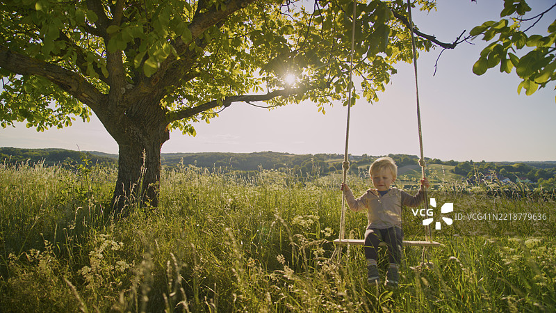 可爱的金发幼儿在乡村夏季的橡树下荡秋千图片素材