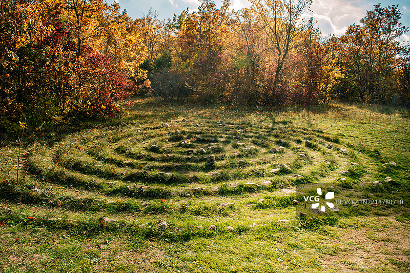 森林中圆形排列的石头。图片素材