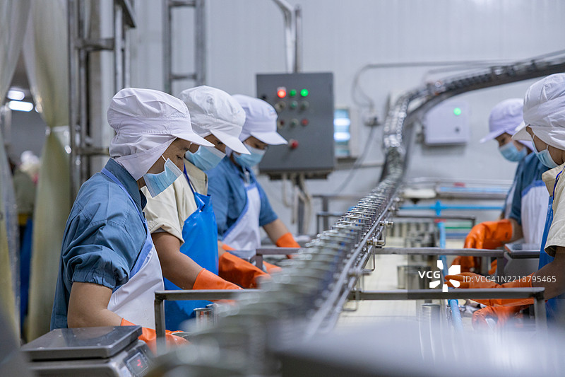 罐头食品生产线上的工人图片素材
