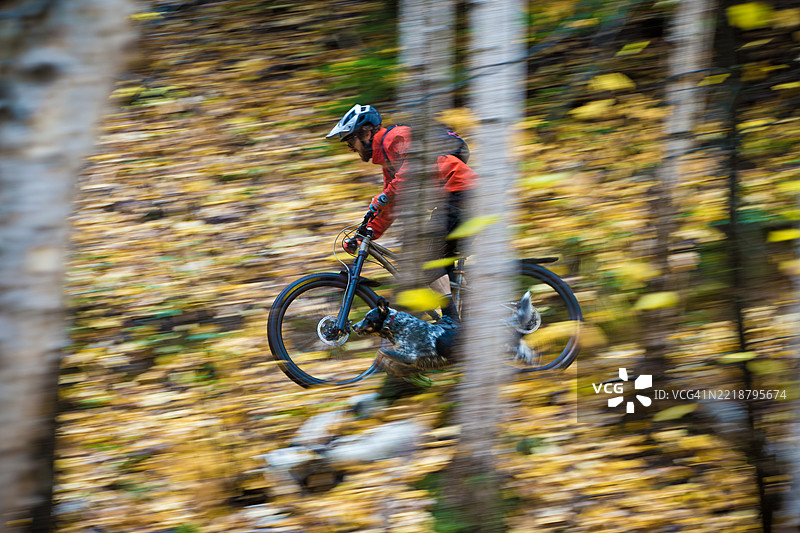 模糊的山地自行车狗骑行图片素材