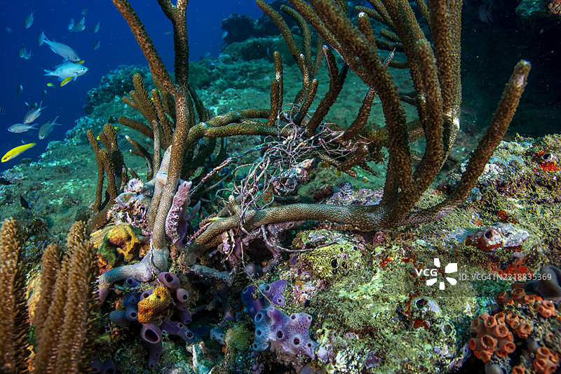 鬼魂捕鱼器具。图片素材