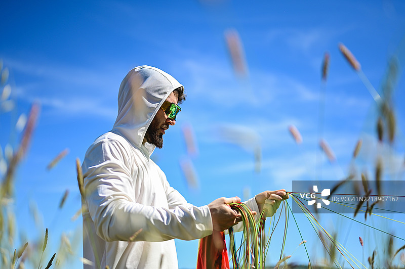 在阳光明媚的日子里，滑翔伞运动员正在准备装备图片素材