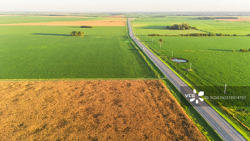 阿根廷潘帕斯地区的豆田和小麦田图片素材