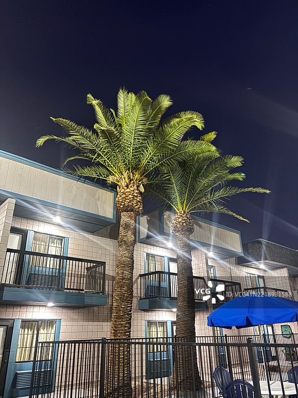 低角度长曝光，夜晚清晰的棕榈树与建筑的对比，亚利桑那州梅萨，美国图片素材