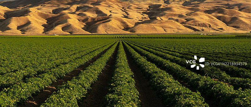 加利福尼亚州科恩县的田野风景图片素材