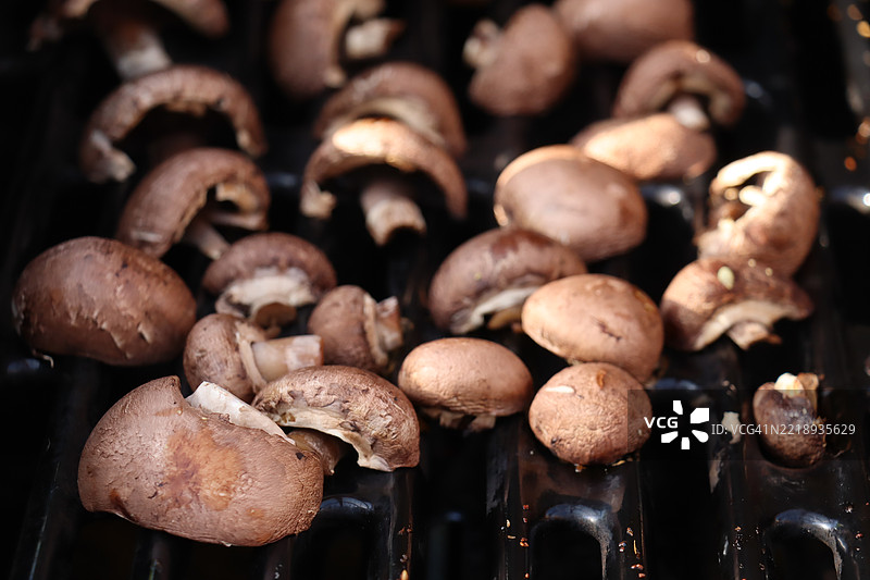 蘑菇特写图片素材