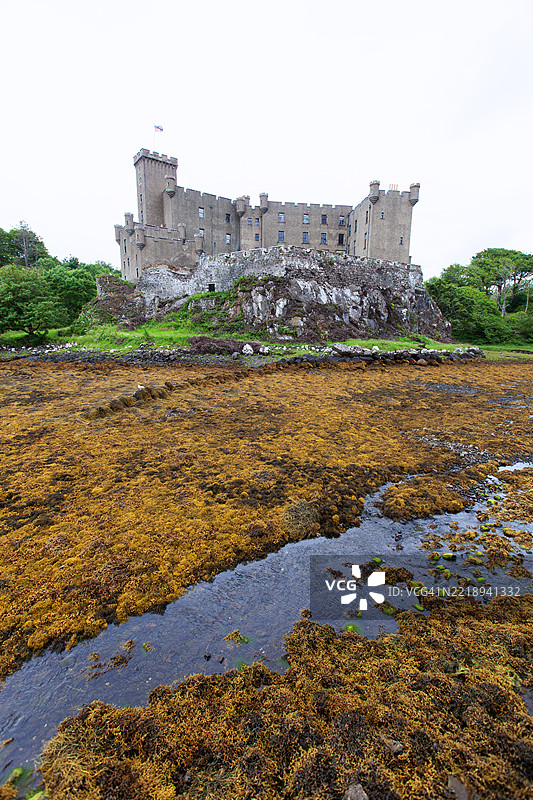 邓维根城堡位于一个平静的海湾，低潮时海藻暴露在水面上。邓维根，斯凯岛，苏格兰。图片素材