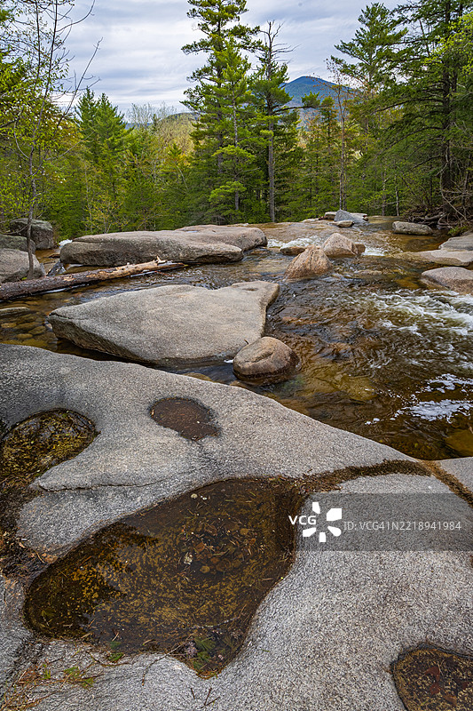 美国森林中的溪流风景图片素材