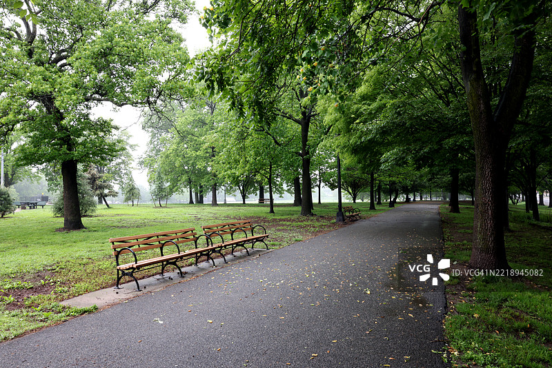 美国纽约皇后区公园里的树木图片素材