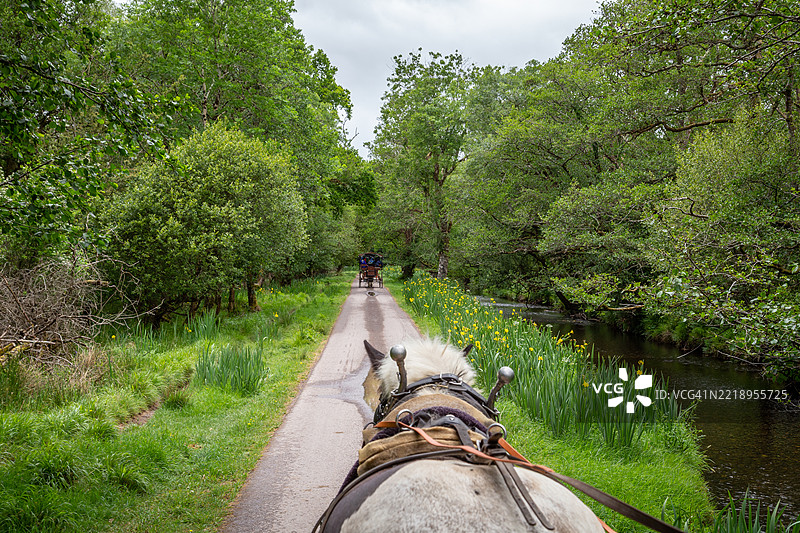 基拉尼国家公园图片素材