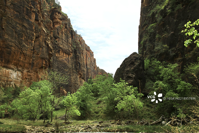 美国犹他州的锡安国家公园图片素材