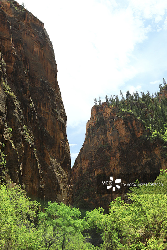 荒野中的树木覆盖的山谷图片素材