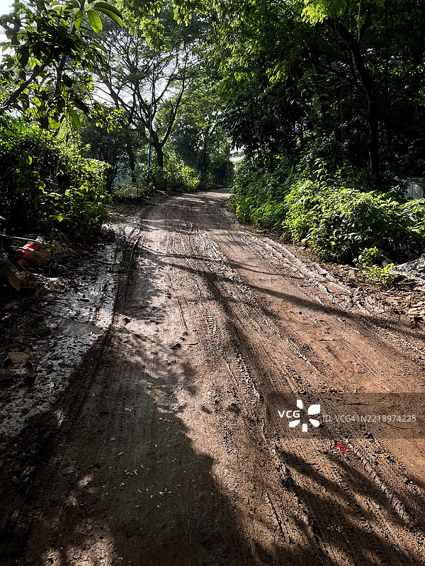 乡村道路图片素材