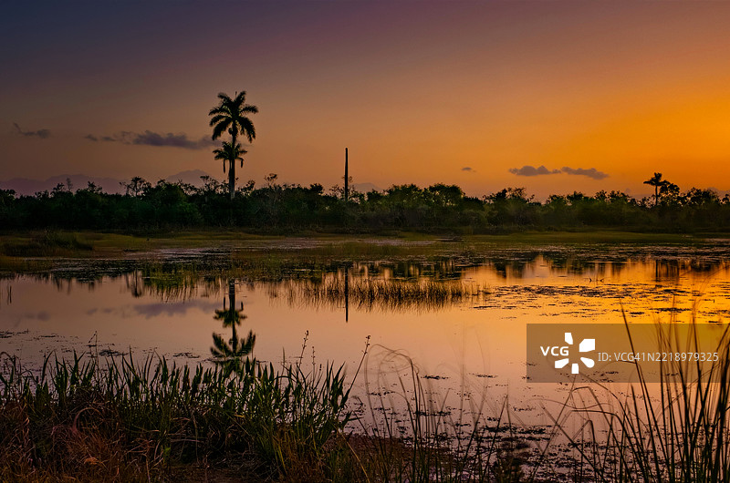 沼泽地的日出图片素材