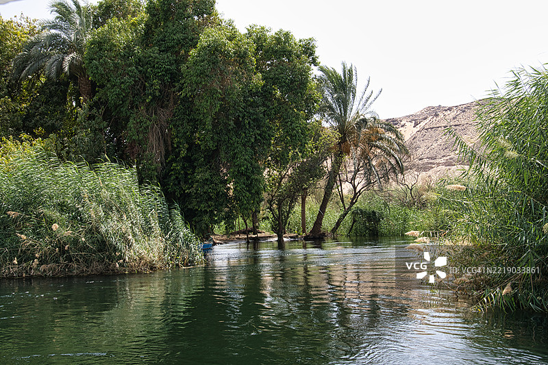 尼罗河岸的风景。埃及图片素材