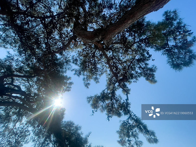 一座带蓝色窗帘的白色房子，位于萨摩斯岛图片素材