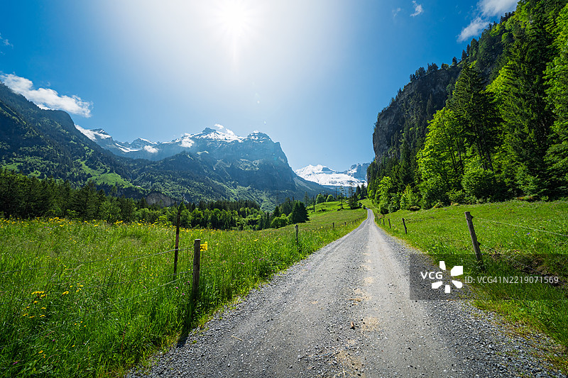 瑞士阿尔卑斯山和森林的美丽景色。图片素材