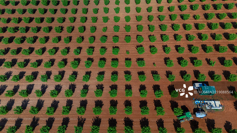 果园的鸟瞰图图片素材