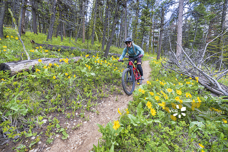一位女性山地自行车手在蒙大拿的山道上。图片素材