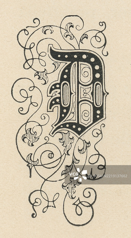 老式雕刻插图中的字母D，装饰性花纹图片素材