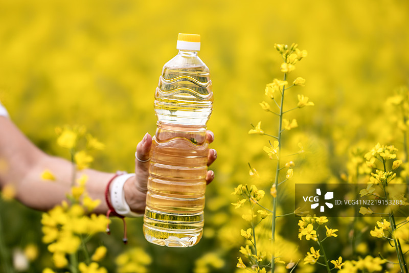 一只女性的手在油菜花田前拿着一瓶菜籽油图片素材