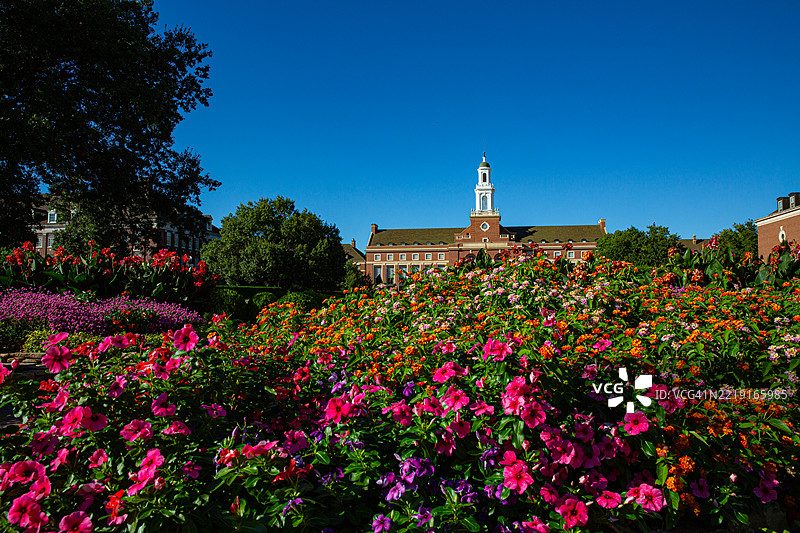 俄克拉荷马州立大学的埃德蒙·洛图书馆在夏季绽放中图片素材