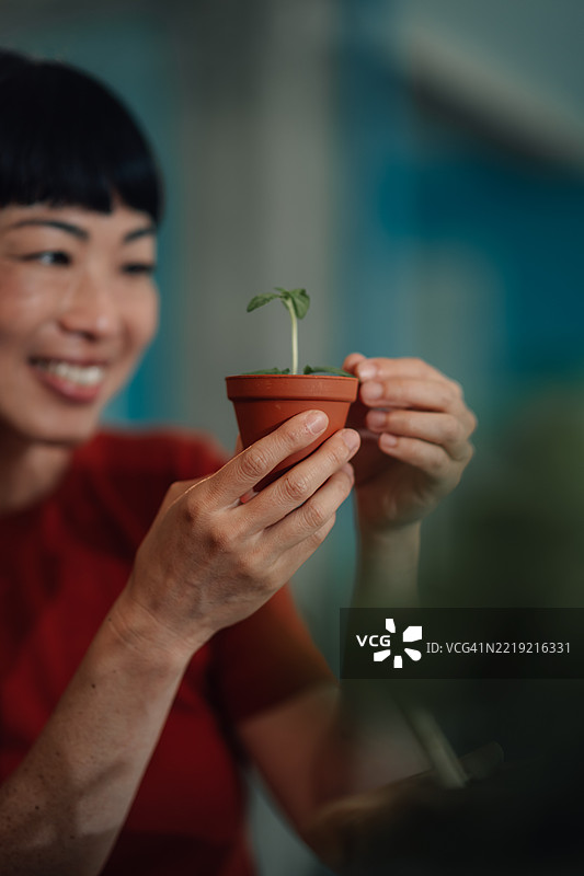 女人手里拿着一个装有植物的小花盆图片素材