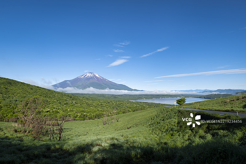 夏季从三国峠俯瞰富士山与郁郁葱葱的森林和草地图片素材