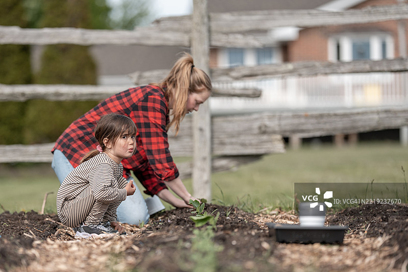 母亲和孩子在乡村后院一起园艺图片素材