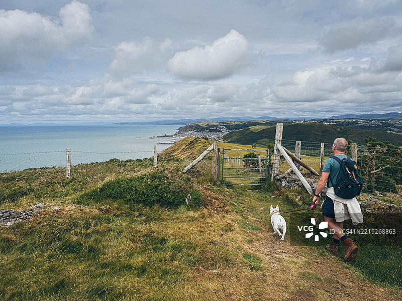 一名男子带着狗在前往阿伯里斯特威斯的塞雷迪根海岸小径上徒步旅行图片素材