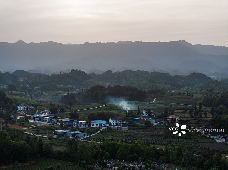 茶园的乡村风景图片素材