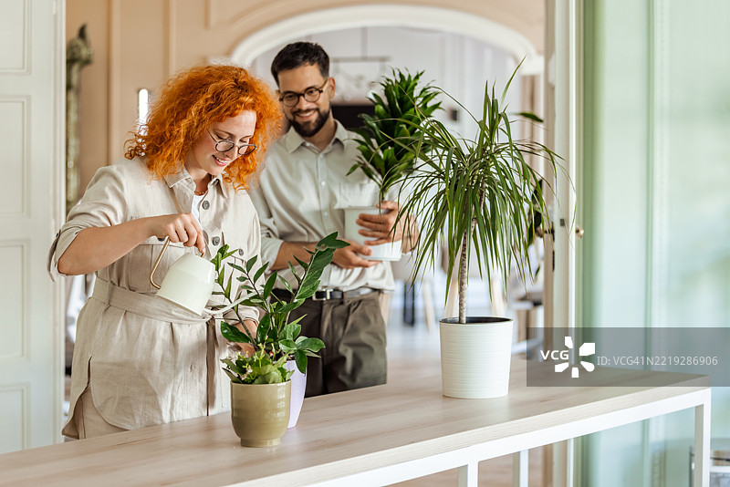 在明亮舒适的家居环境中照顾室内植物的情侣图片素材
