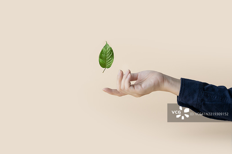 支持性物理环境概念静物。图片素材