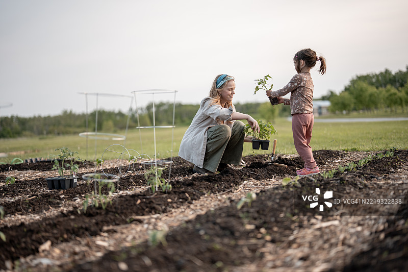 母女在户外一起种植蔬菜花园图片素材