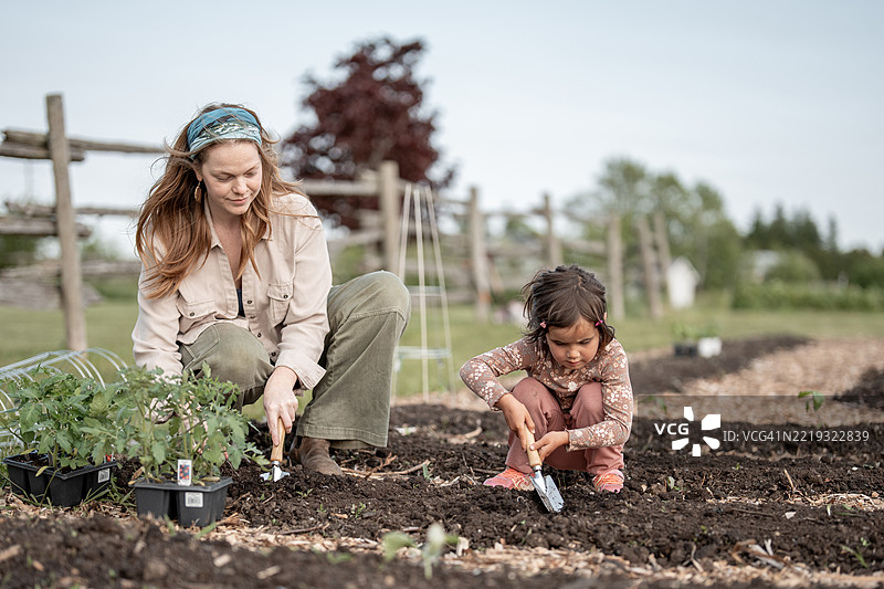 母女在阳光明媚的后院花园里一起园艺图片素材