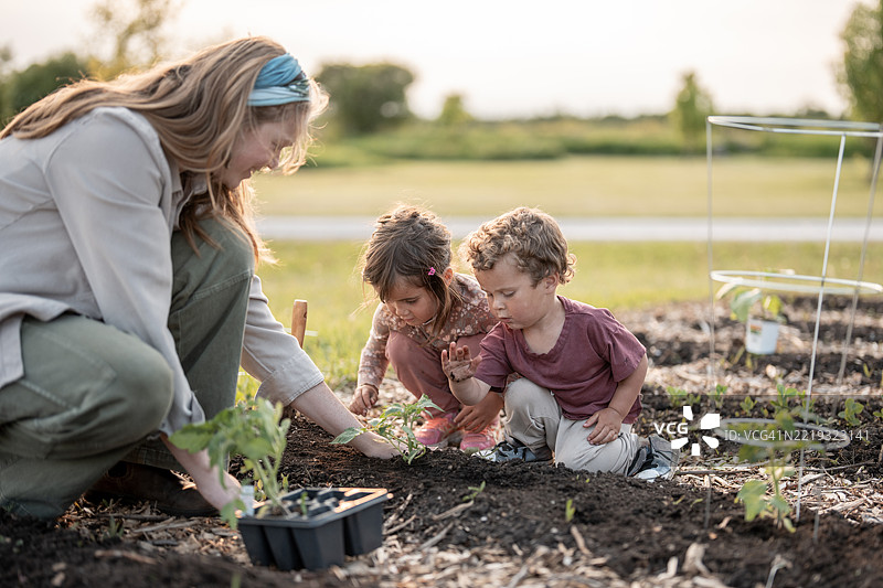 母亲和孩子们在阳光明媚的日子里一起在田野里园艺图片素材