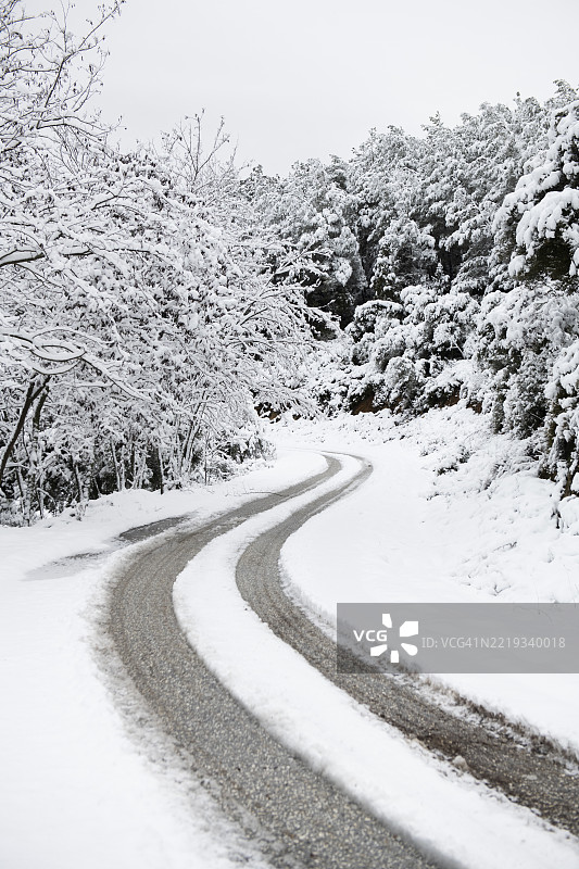 被雪覆盖的弯曲乡村道路图片素材