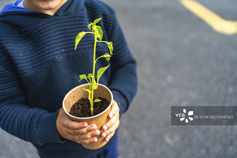 年轻的环保主义者手持一株幼苗，放在一个回收的杯子里，象征着植树造林、可持续发展和对自然的关爱。图片素材