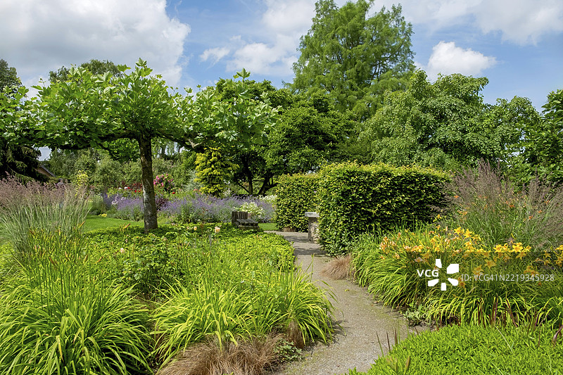 多年生植物床，德国北莱茵-威斯特法伦州明斯特地区布尔克斯坦福特区的教育花园，欧洲图片素材