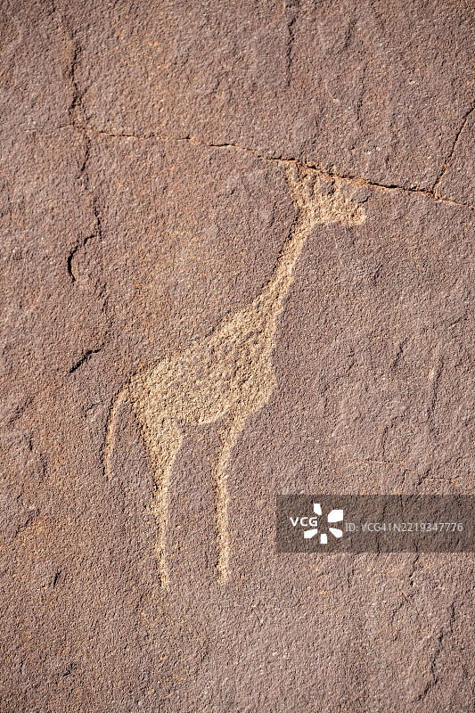 岩石上的长颈鹿雕刻，岩石板上的动物描绘，岩石雕刻，岩石刻画，特维尔丰廷，库内内，纳米比亚，非洲图片素材