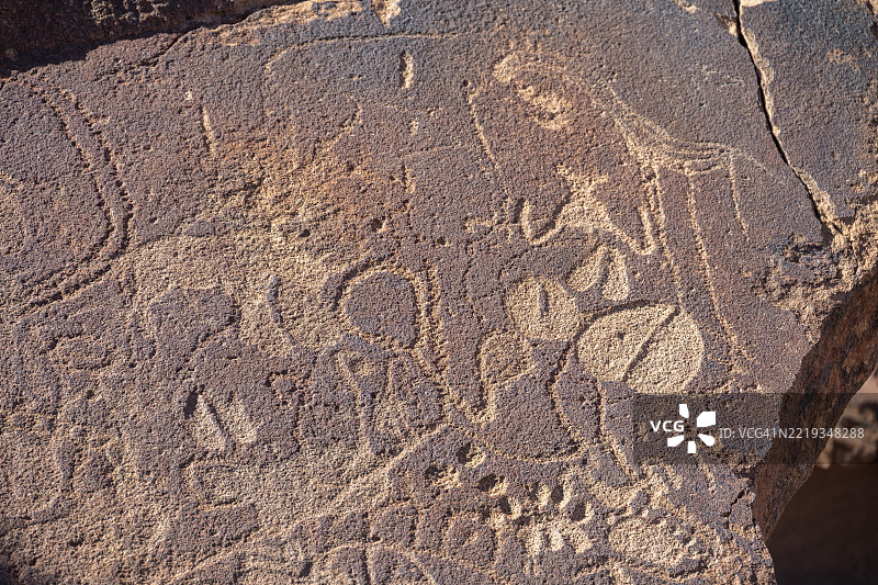 岩石板上的动物细节描绘，岩石雕刻，特维尔丰廷，库内内，纳米比亚，非洲图片素材