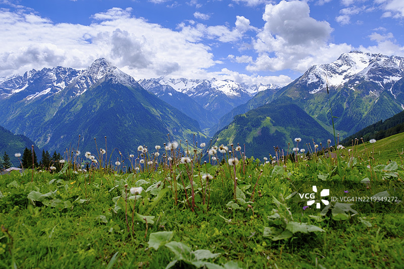 佩肯，迈尔霍芬，齐尔塔尔，蒂罗尔，奥地利，欧洲图片素材