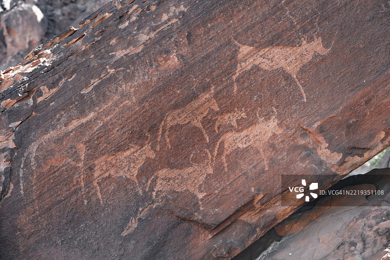 岩石板上的动物描绘，岩刻，图维尔丰廷，库内内，纳米比亚，非洲图片素材