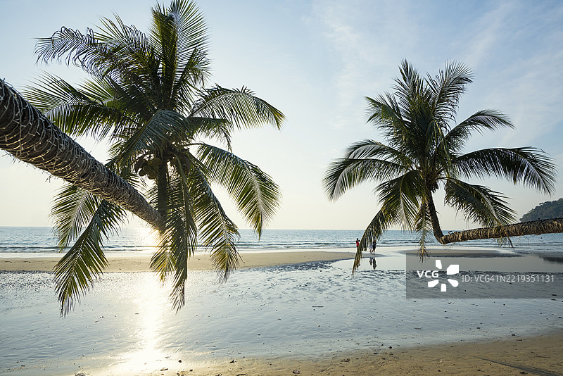 沙滩上有椰子树的沙滩，克隆查奥海滩，日落，考库德岛，考库特岛，泰国湾，泰国，亚洲图片素材