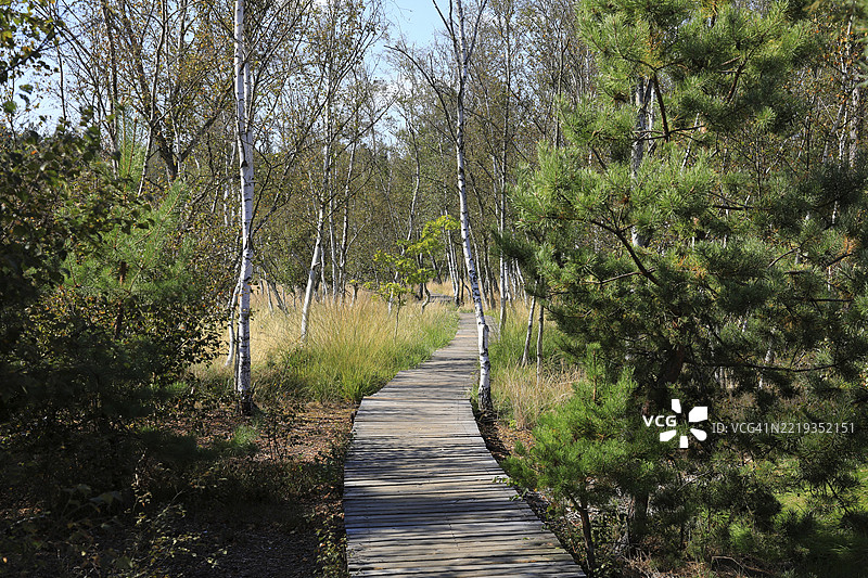 教育小径和徒步小径，位于埃格尔盆地弗兰岑斯巴德附近的索斯沼泽国家自然保护区的景观，卡罗维发利地区，波西米亚，捷克共和国，欧洲图片素材