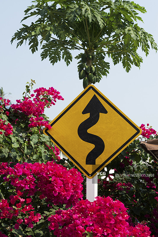 交通标志和九重葛，Ao Phrao海滩，日落，Koh Kood，Koh Kut，泰国湾，泰国，亚洲图片素材