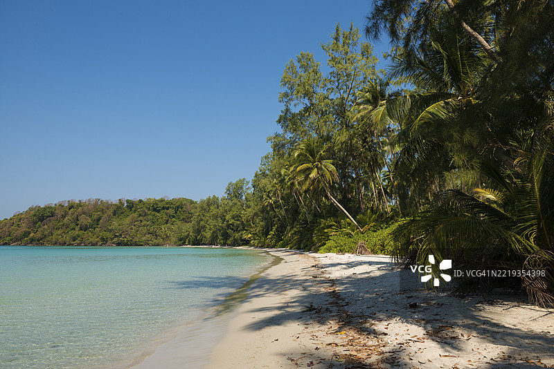 沙滩上有椰子树，泰国库岛的瓦奥贾克海滩，泰国湾，亚洲图片素材