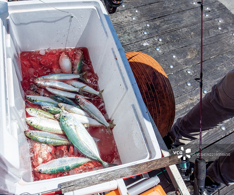 佛罗里达州纳瓦尔海滩的码头图片素材