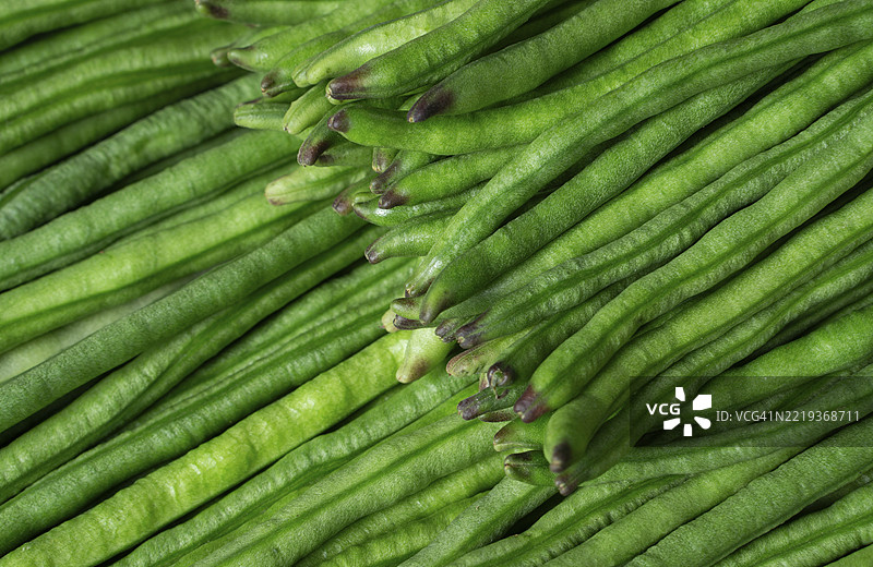 一堆新鲜的绿豆紧密堆叠，突显出它们鲜艳的绿色和新鲜感，位于孟加拉国加济布尔，亚洲图片素材